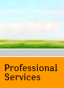 Professional Services Page Button