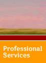 Professional Services Page Button